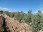 2 bedrooms House in Yecla, Spain No. 107492 - Image 17