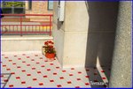 3 bedrooms Duplex in Santomera, Spain No. 107625 - Image 10