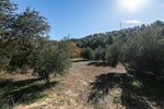 Land in Albolote, Spain No. 108049 - Image 5