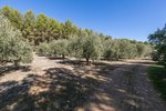 Land in Albolote, Spain No. 108049 - Image 7