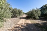 Land in Albolote, Spain No. 108049 - Image 8