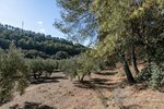 Land in Albolote, Spain No. 108049 - Image 10