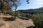 Land in Albolote, Spain No. 108049 - Image 11