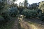 26000m² Land in Albolote, Spain No. 108053 - Image 3