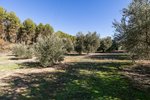 26000m² Land in Albolote, Spain No. 108053 - Image 4