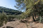 26000m² Land in Albolote, Spain No. 108053 - Image 10