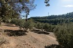 26000m² Land in Albolote, Spain No. 108053 - Image 11