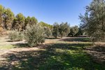 26000m² Land in Granada, Spain No. 108062 - Image 4