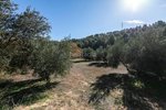 26000m² Land in Granada, Spain No. 108062 - Image 5