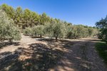 26000m² Land in Granada, Spain No. 108062 - Image 7