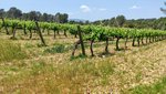 12 bedrooms House in Torrelavit, Spain No. 109181 - Image 21