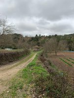 12 bedrooms House in Torrelavit, Spain No. 109181 - Image 25