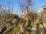 4 bedrooms House in Sant Pere de Ribes, Spain No. 109244 - Image 22