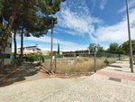Land in Cadrete, Spain No. 110463 - Image 3