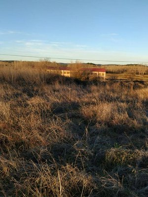 7499m² Land in Carcaboso, Spain No. 110556