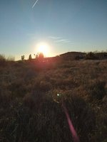 7499m² Land in Carcaboso, Spain No. 110556 - Image 4