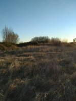 7499m² Land in Carcaboso, Spain No. 110556 - Image 5