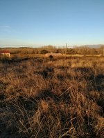 7499m² Land in Carcaboso, Spain No. 110556 - Image 6