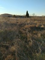 7499m² Land in Carcaboso, Spain No. 110556 - Image 7