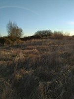 7499m² Land in Carcaboso, Spain No. 110556 - Image 8
