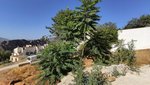 325m² Land in Lanjaron, Spain No. 110918 - Image 23