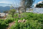 325m² Land in Lanjaron, Spain No. 110918 - Image 40