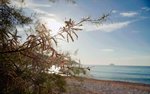 2 bedrooms Apartment in Villajoyosa, Spain No. 11095 - Image 5