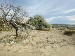 6 bedrooms Commercial property in Arboleas, Spain No. 11180 - Image 28