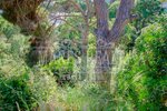704m² Land in Tossa de Mar, Spain No. 11288 - Image 10