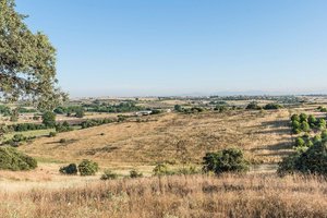 Land in Navalcarnero, Spain No. 113239