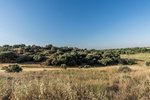 Land in Navalcarnero, Spain No. 113239 - Image 2