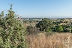 Land in Navalcarnero, Spain No. 113239 - Image 3