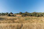 Land in Navalcarnero, Spain No. 113239 - Image 5