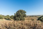 Land in Navalcarnero, Spain No. 113239 - Image 6