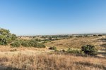 Land in Navalcarnero, Spain No. 113239 - Image 7