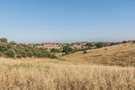 Land in Navalcarnero, Spain No. 113239 - Image 8