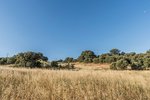 Land in Navalcarnero, Spain No. 113239 - Image 9