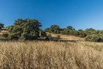 Land in Navalcarnero, Spain No. 113239 - Image 10