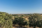 Land in Navalcarnero, Spain No. 113239 - Image 13
