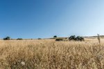 Land in Navalcarnero, Spain No. 113239 - Image 15