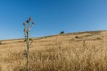 Land in Navalcarnero, Spain No. 113239 - Image 16