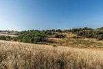 Land in Navalcarnero, Spain No. 113239 - Image 17