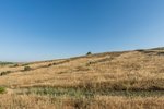 Land in Navalcarnero, Spain No. 113239 - Image 18