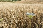Land in Navalcarnero, Spain No. 113239 - Image 19