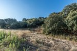 Land in Navalcarnero, Spain No. 113239 - Image 21