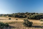 Land in Navalcarnero, Spain No. 113239 - Image 22
