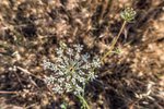 Land in Navalcarnero, Spain No. 113239 - Image 25