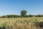 Land in Navalcarnero, Spain No. 113239 - Image 26