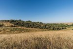 Land in Navalcarnero, Spain No. 113239 - Image 27