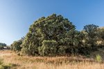 Land in Navalcarnero, Spain No. 113239 - Image 28